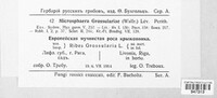 Microsphaera grossulariae image